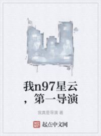 我n97星云，第一导演